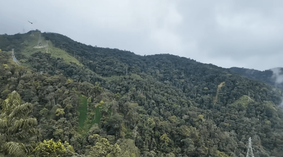 Malaysia Tour Itinerary for 5 Days from Bangladesh