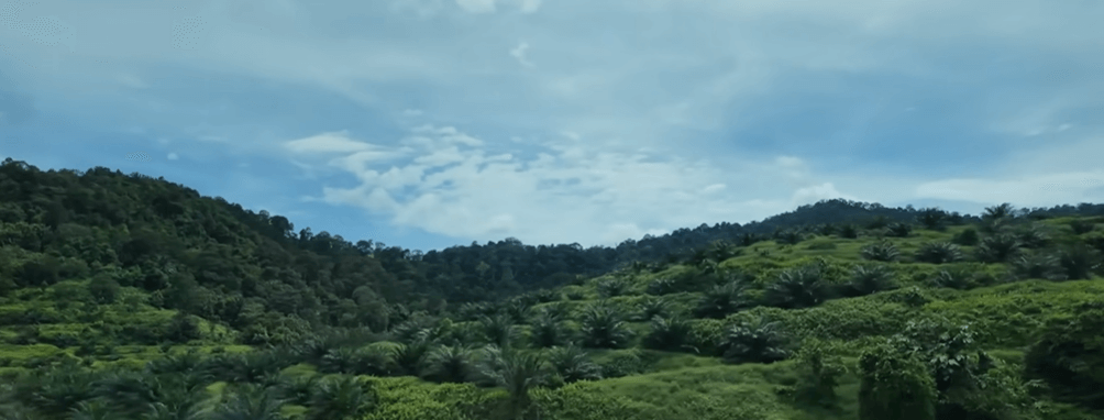 Top Places to Visit in Malaysia from Bangladesh